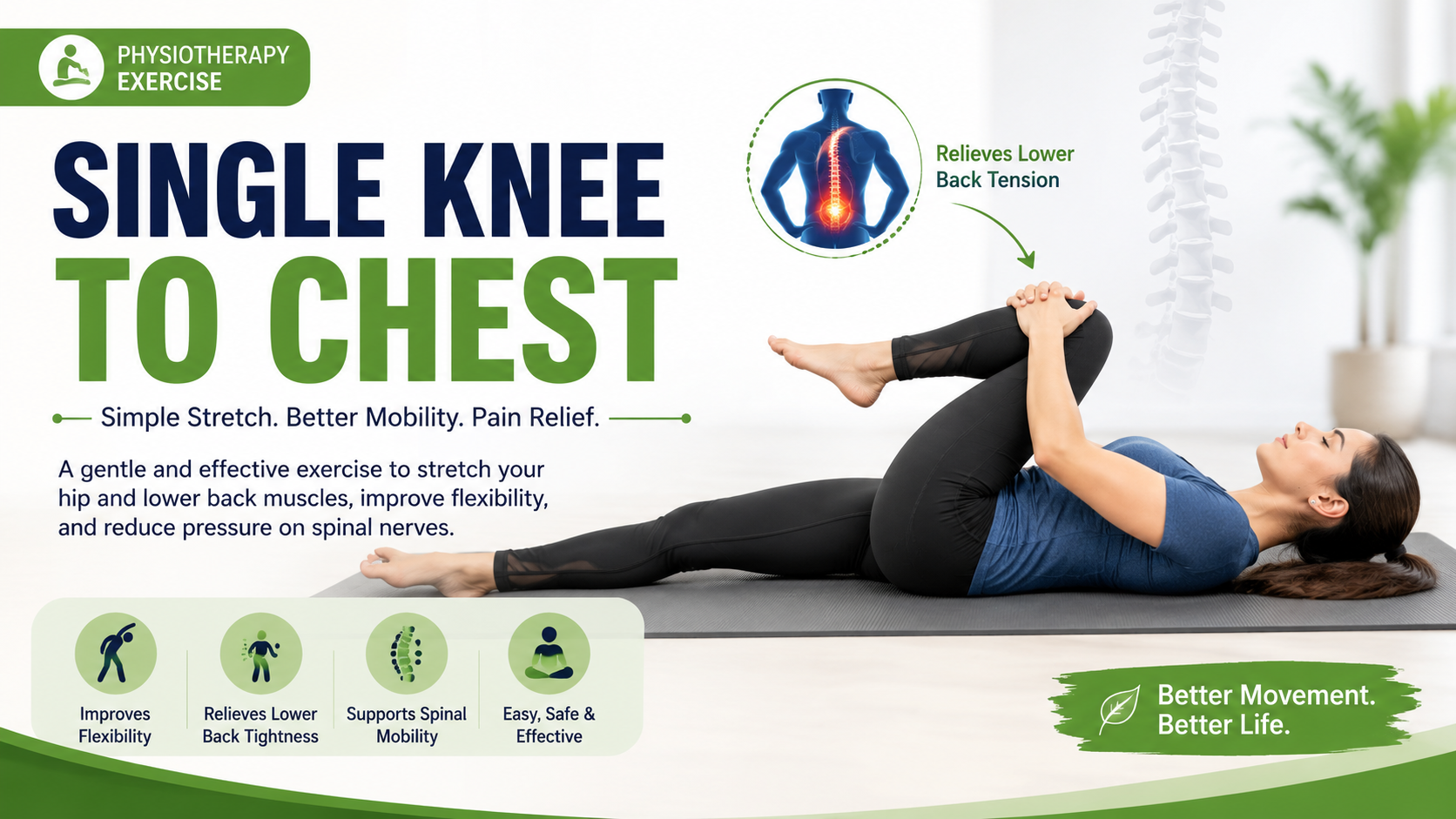Single Knee to Chest Exercise for Lower Back Relief & Flexibility